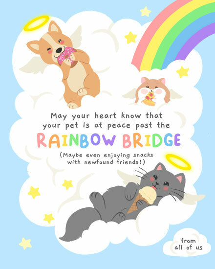 sympathy rainbow bridge clouds cat angel dog hamster death bereavement pet loss grief