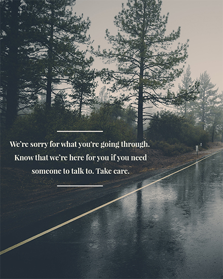 sympathy card sorry road tree bereavement picture photo image death grief