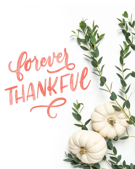 Text 'Forever Thankful' with white pumpkins and green foliage on a white background.