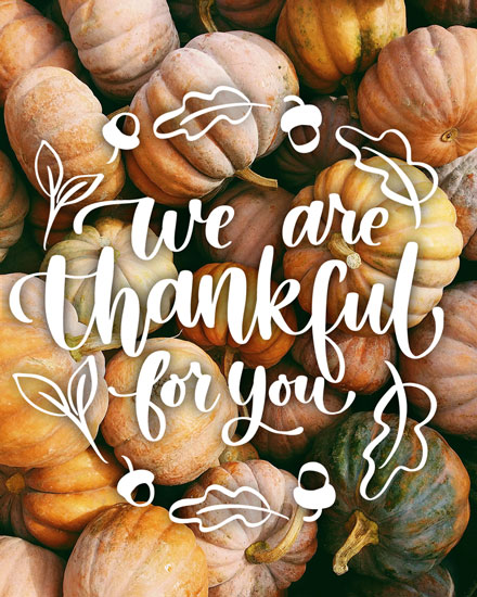 thanksgiving card we are thankful for you pumpkin background picture photo image