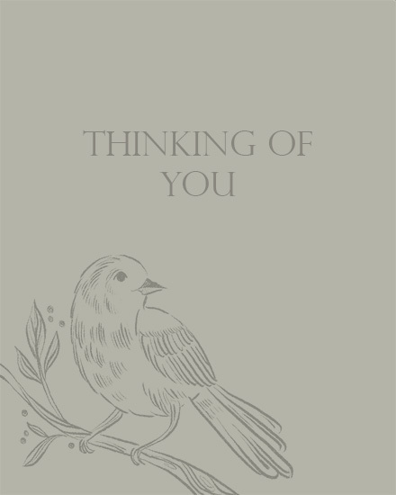 bird minimalism thinking of you card branch tree