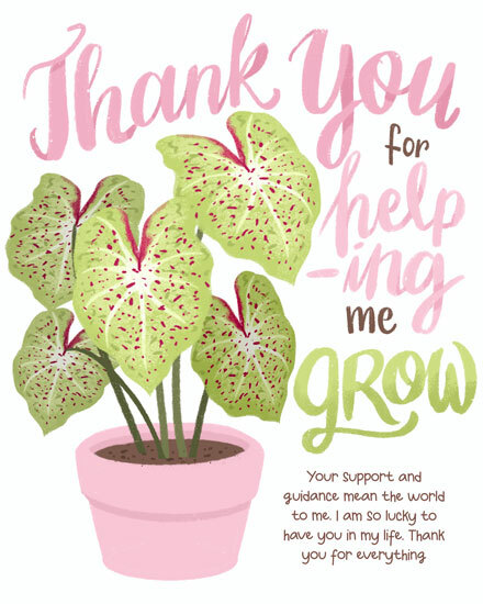 thank you mentor houseplant caladium plant